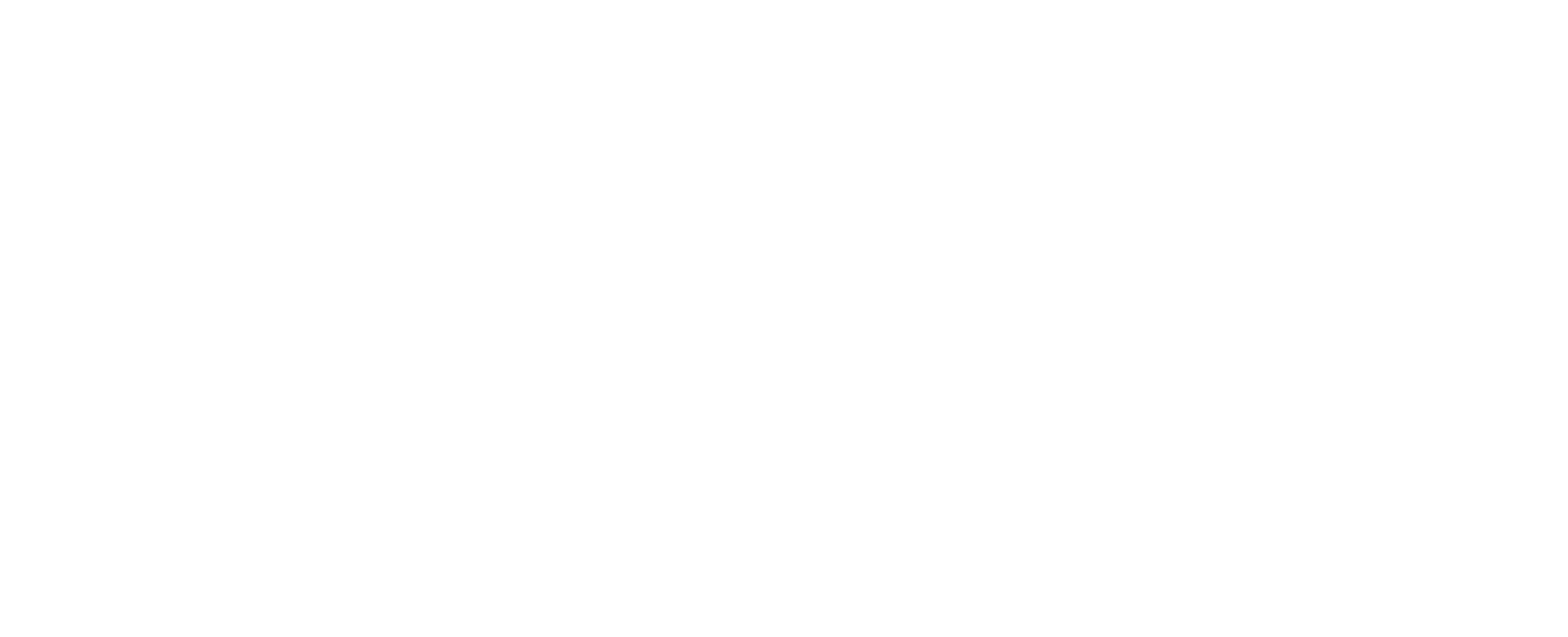 AA Insure